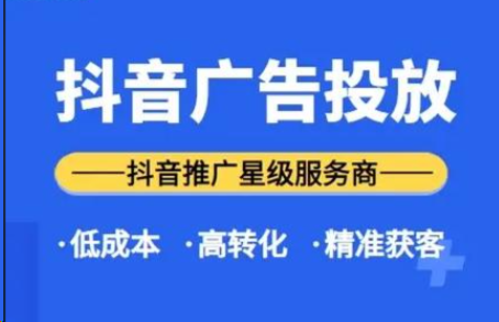 专业抖音/小红书投流开户运营,12年广告投放经验